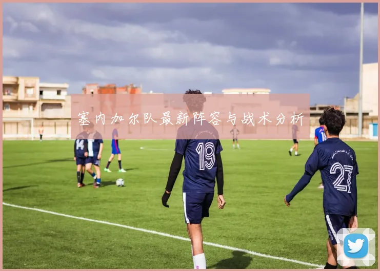 塞内加尔队最新阵容与战术分析