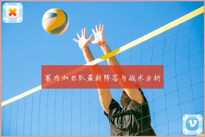 塞内加尔队最新阵容与战术分析